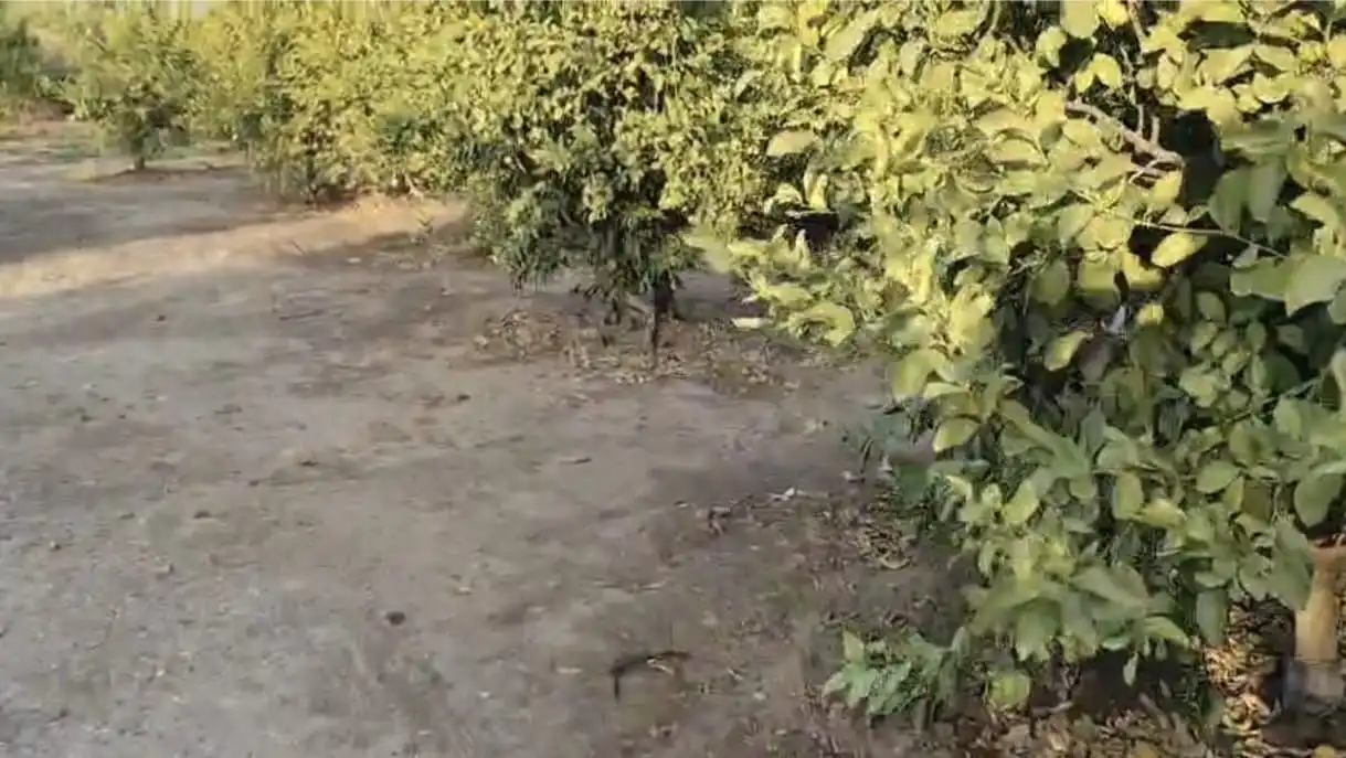 Rustikales Grundstück zum Verkauf in poligono 31, imagen 12