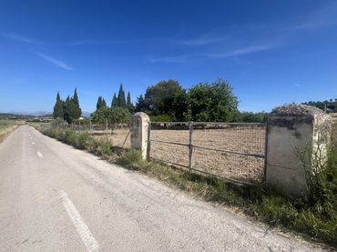 Terreny rústic en venda a Muro