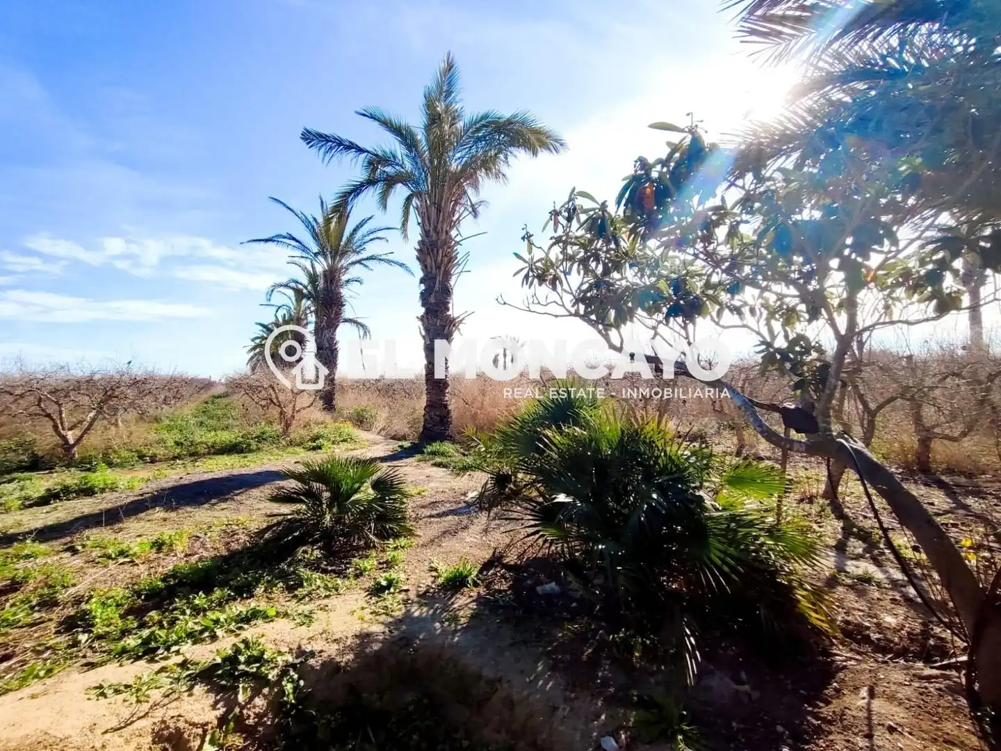 Casa o xalet en venda en Elche / Elx amb Aire condicionat, Calefacció i Jardí privat
