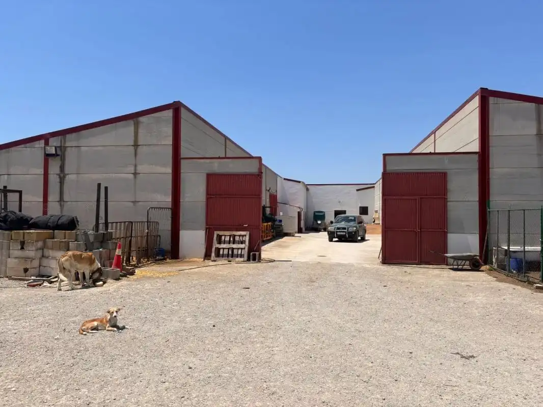 Vista exterior de Finca rústica en venda en El Saucejo amb Aire condicionat, Calefacció i Moblat