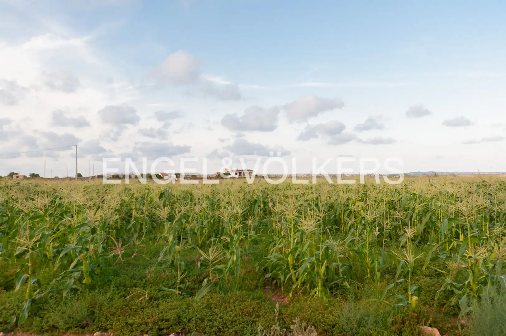 Finca rústica en venta en Los Montesinos con Aire acondicionado, Calefacción y Piscina