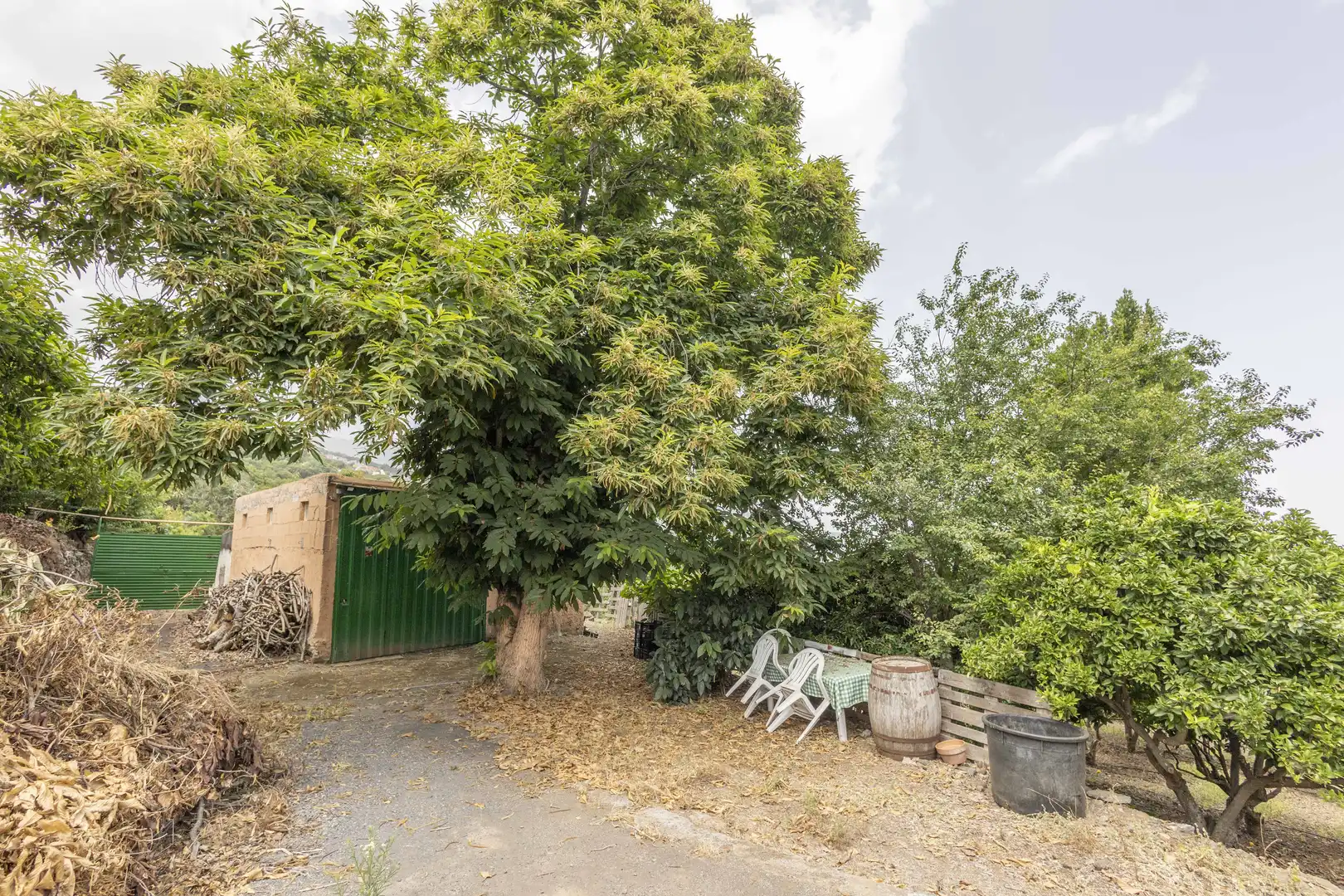 Garden of Houses for sale in La Orotava  with Private garden, Terrace and Storage room