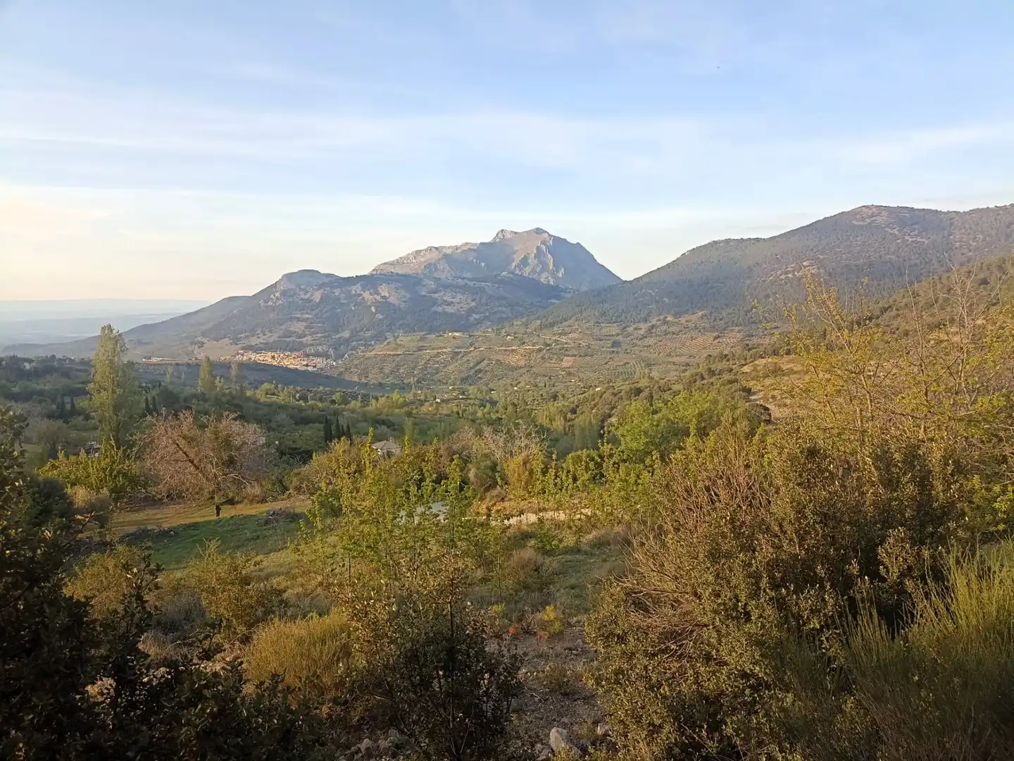 Land for sale in Torres