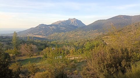 Foto 4 von Grundstücke zum Verkauf in Diseminado Diseminados, Km 2., Torres, Jaén