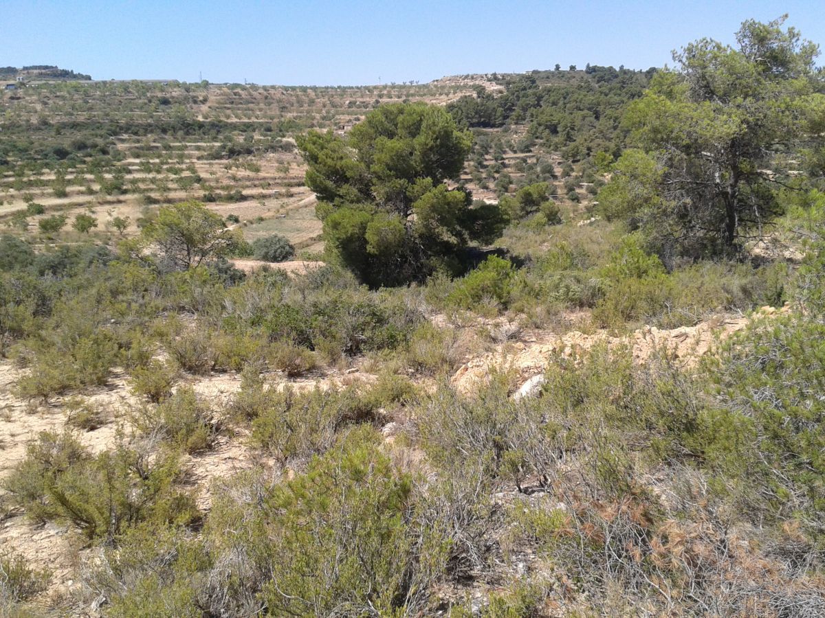 Residential for sale in Llardecans