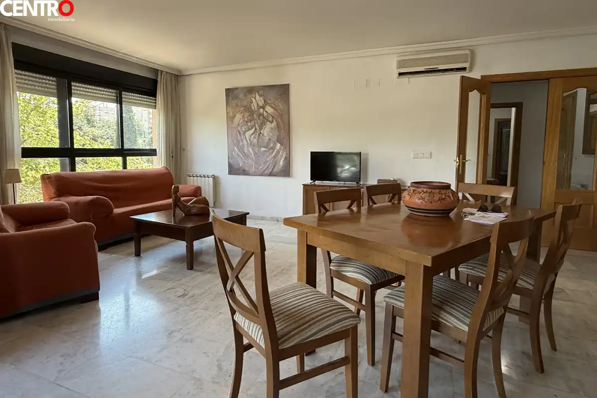 Sala de estar de Piso en venta en Granada con Aire acondicionado, Calefacción y Jardín privado