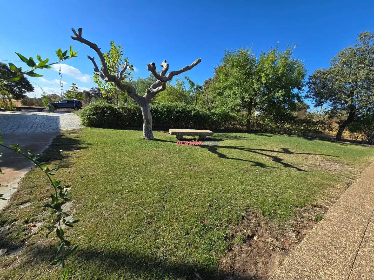 Aparcament de Casa o xalet en venda en Alcaracejos amb Traster i Piscina