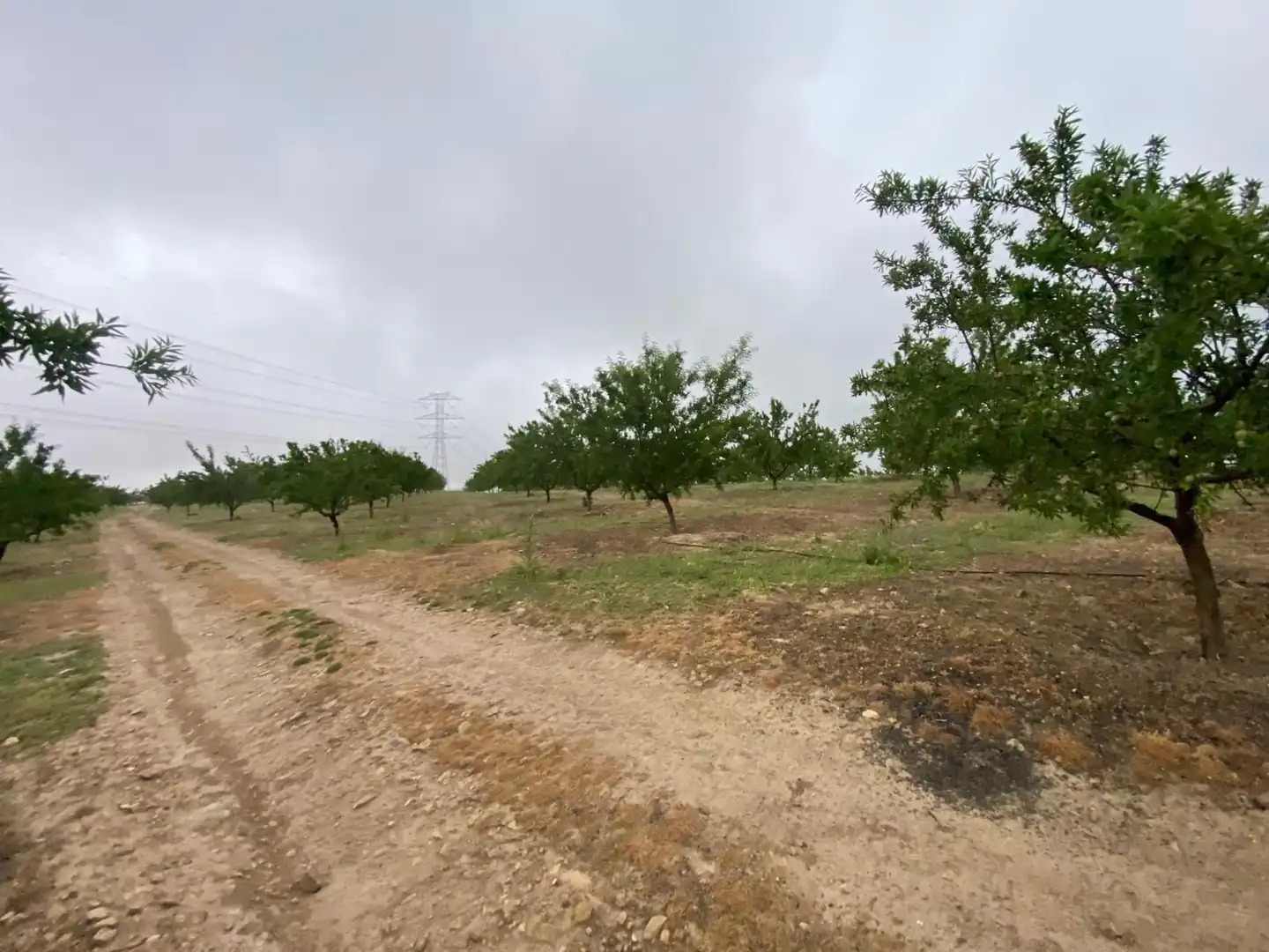 Terreni e lotti in vendita a Guadahortuna, imagen 34