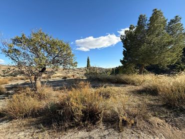 Terrain rustique à vendre à BR RAMB-BANCALEJOVELEZ-RUBIO (ALMERÍA)