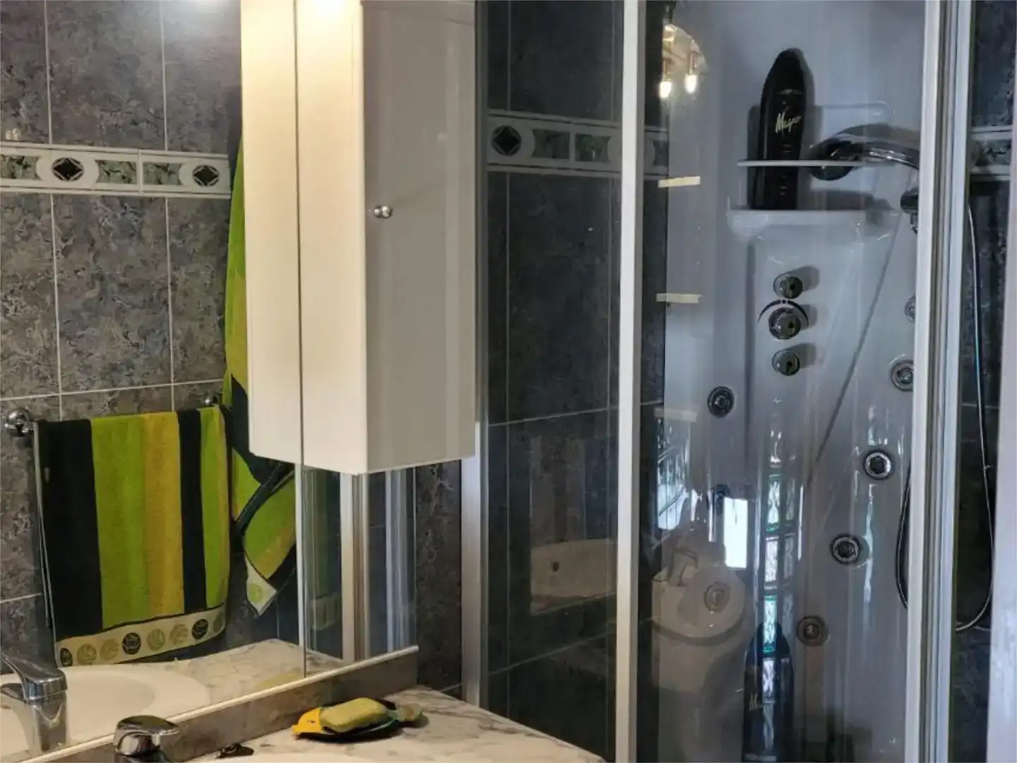 Badezimmer von Fabrikhallen zum Verkauf in Vicién