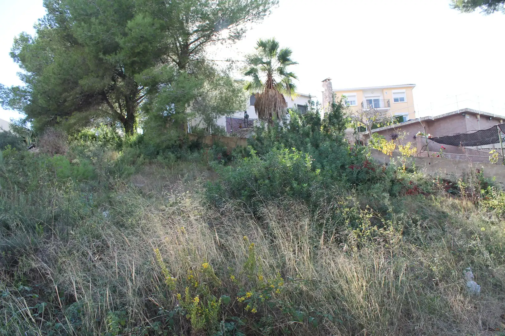 Wohnbaugrundstück zum Verkauf in Carrer Tomàs Breton 59, imagen 5