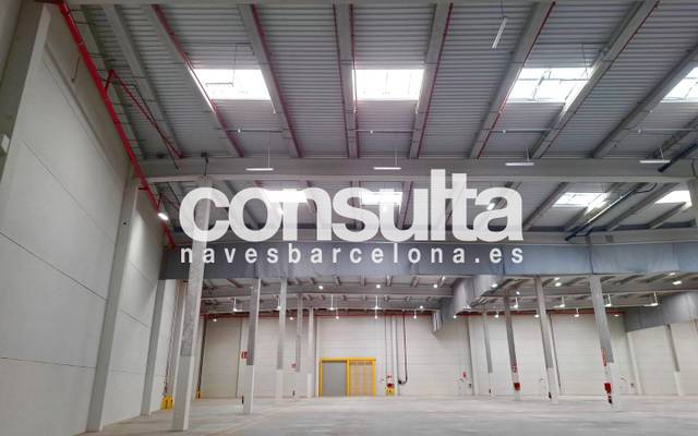 Nave industrial en Alquiler en Carrer de la Vinya, s/n en La Bisbal del Penedès