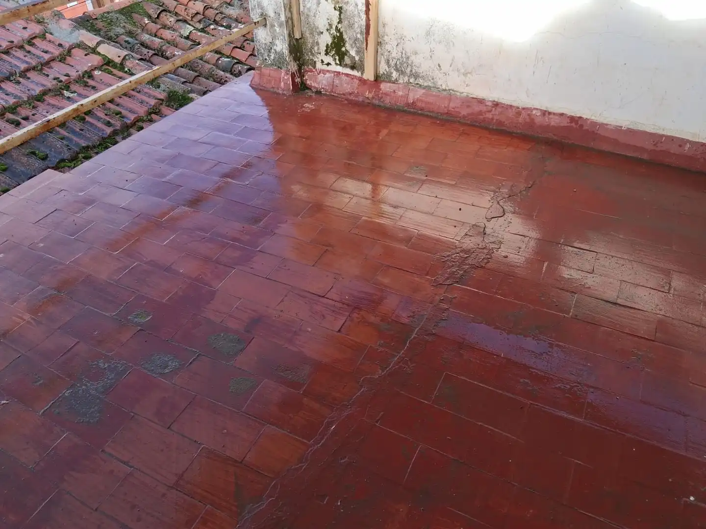 Terraza de Casa o chalet en venta en La Haba 