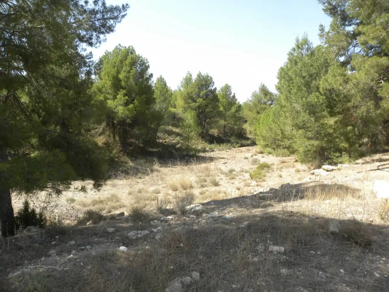 Terreno rustico in vendita a Carretera Llano de Béjar