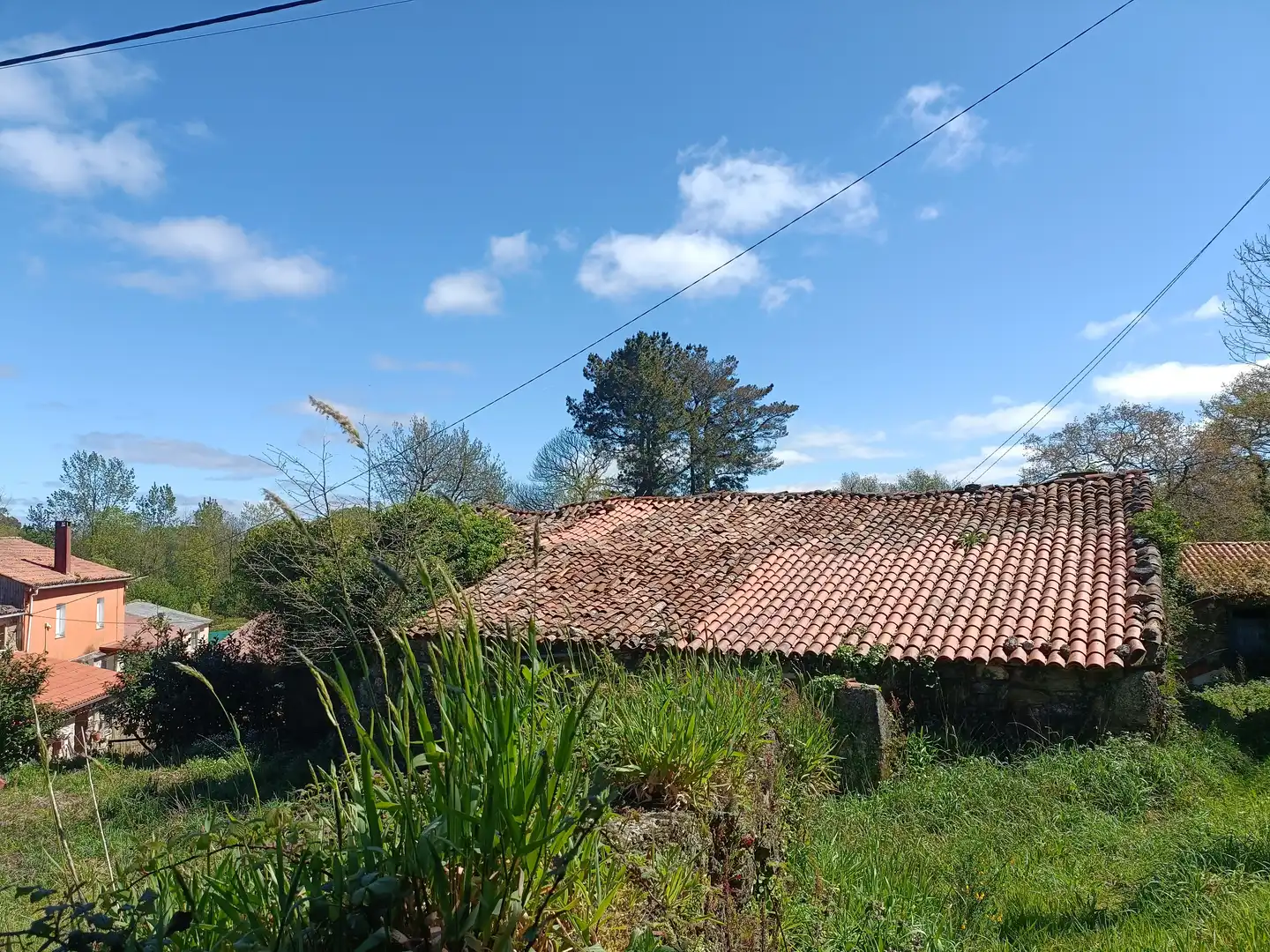 Casa con jardín en venta en Curtis, imagen 12