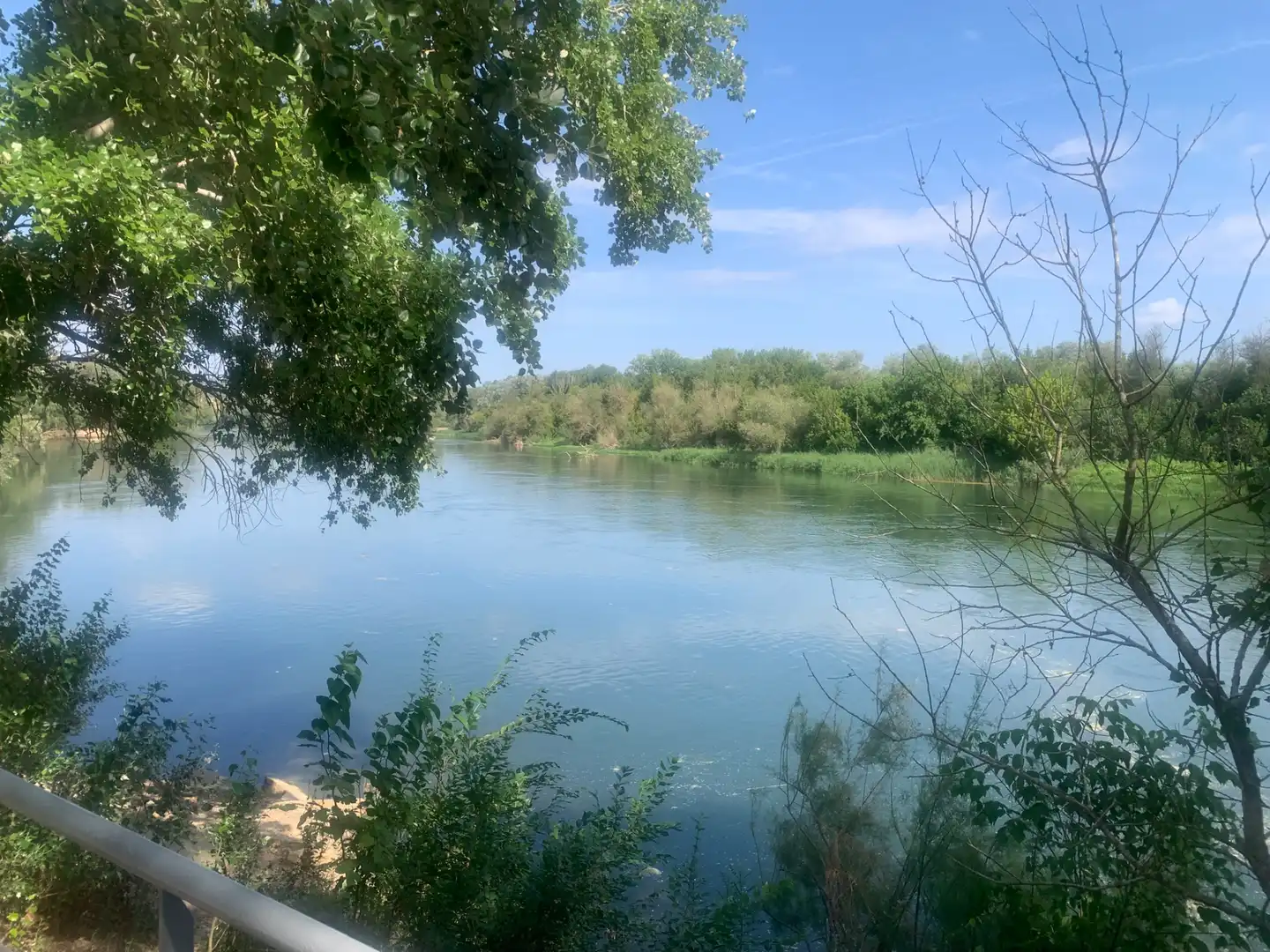 Terreno rustico in vendita a Ginestar