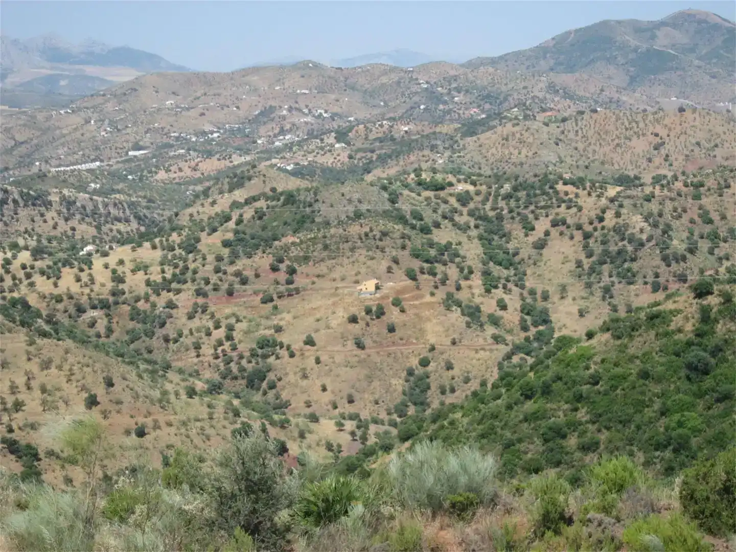 Finca rústica en venta en Almogía