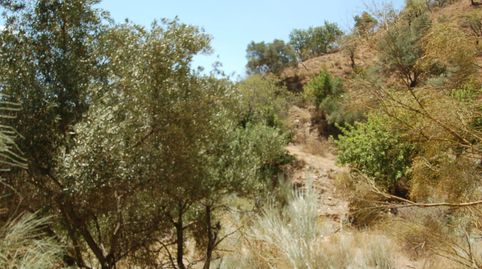 Foto 2 de Residencial en venda a Cártama, Málaga