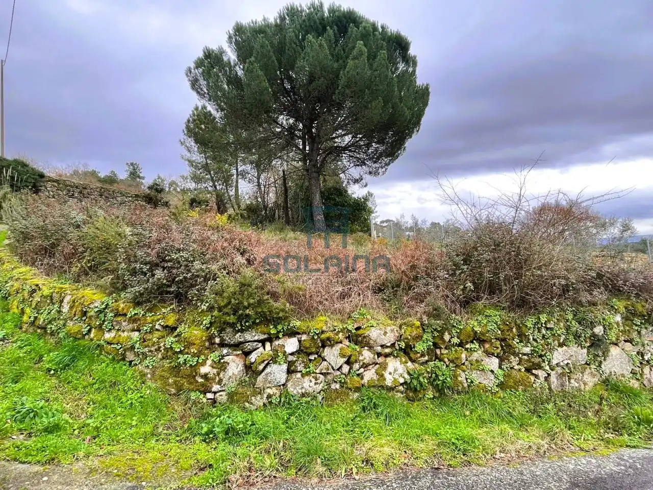 Terreni e lotti in vendita a O Pereiro de Aguiar, imagen 10