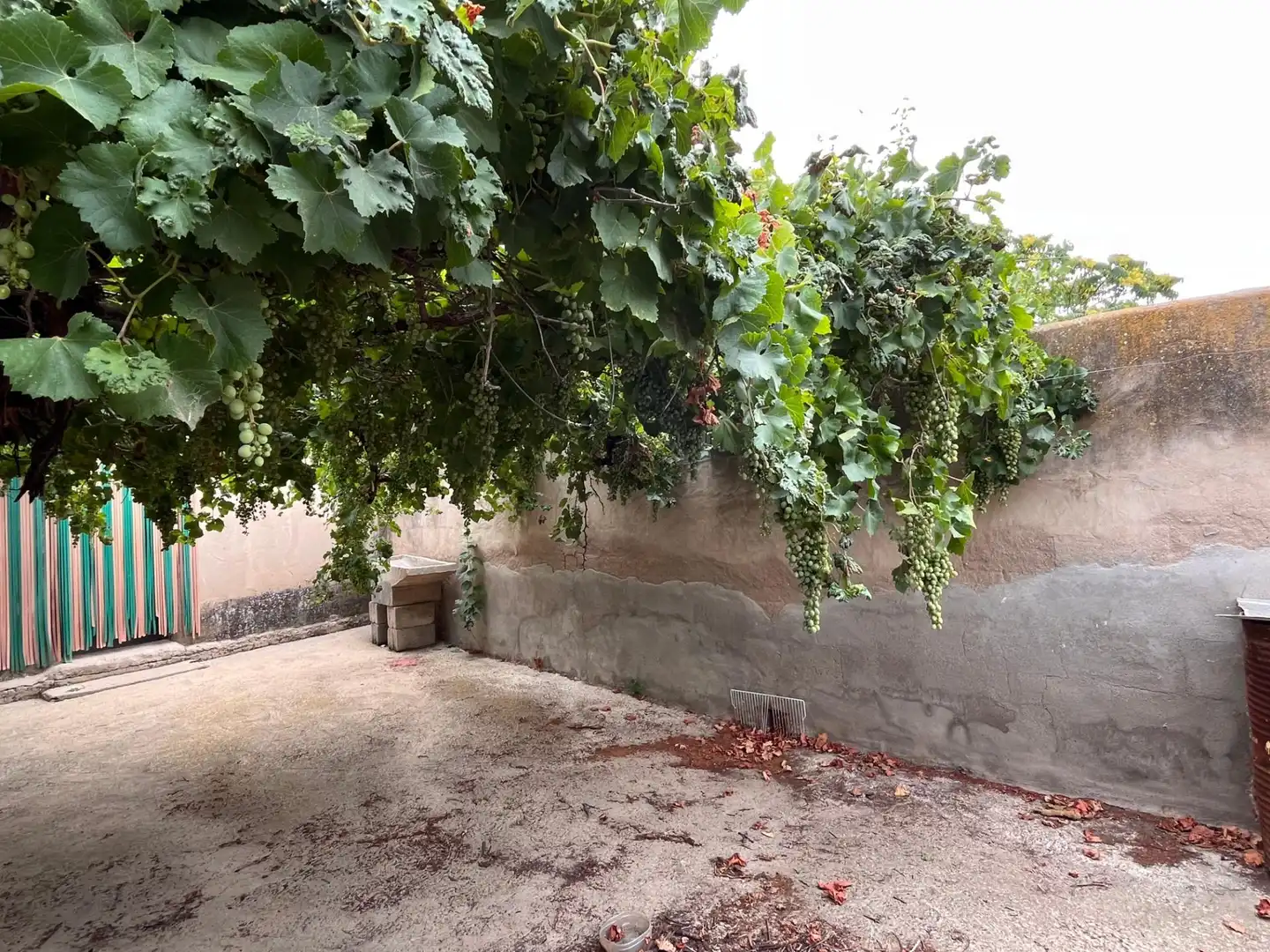 Jardín de Casa adosada en venta en Tobarra con Jardín privado, Terraza y Trastero