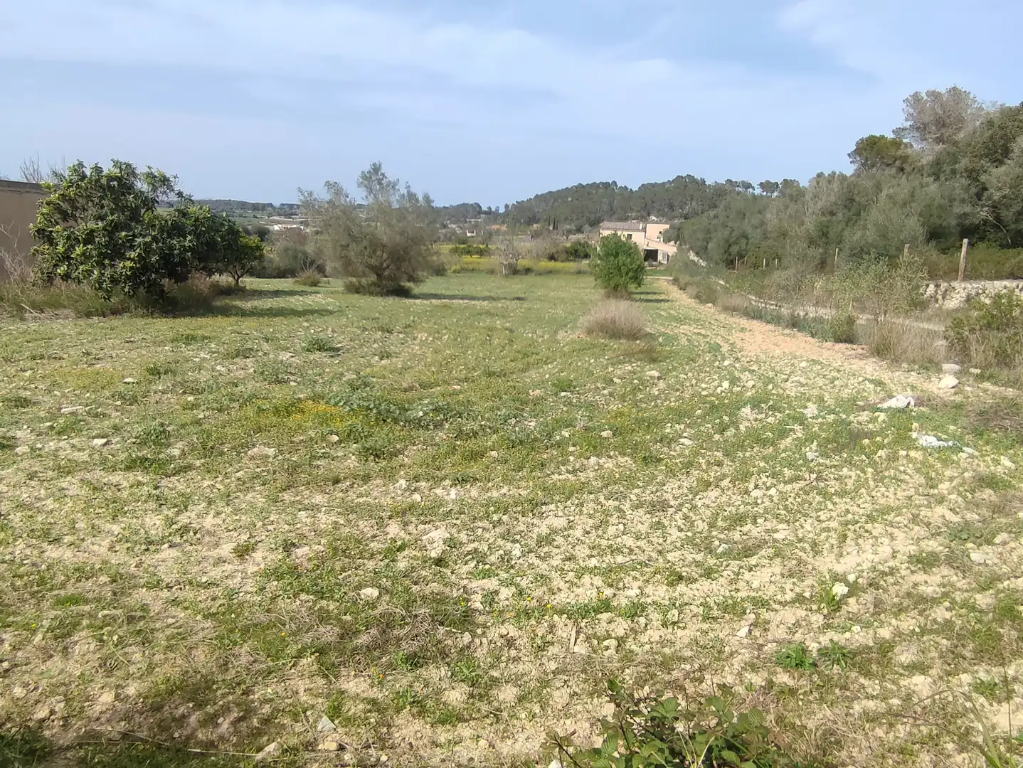 Finca rústica en venda en Montuïri amb Jardí privat i Terrassa