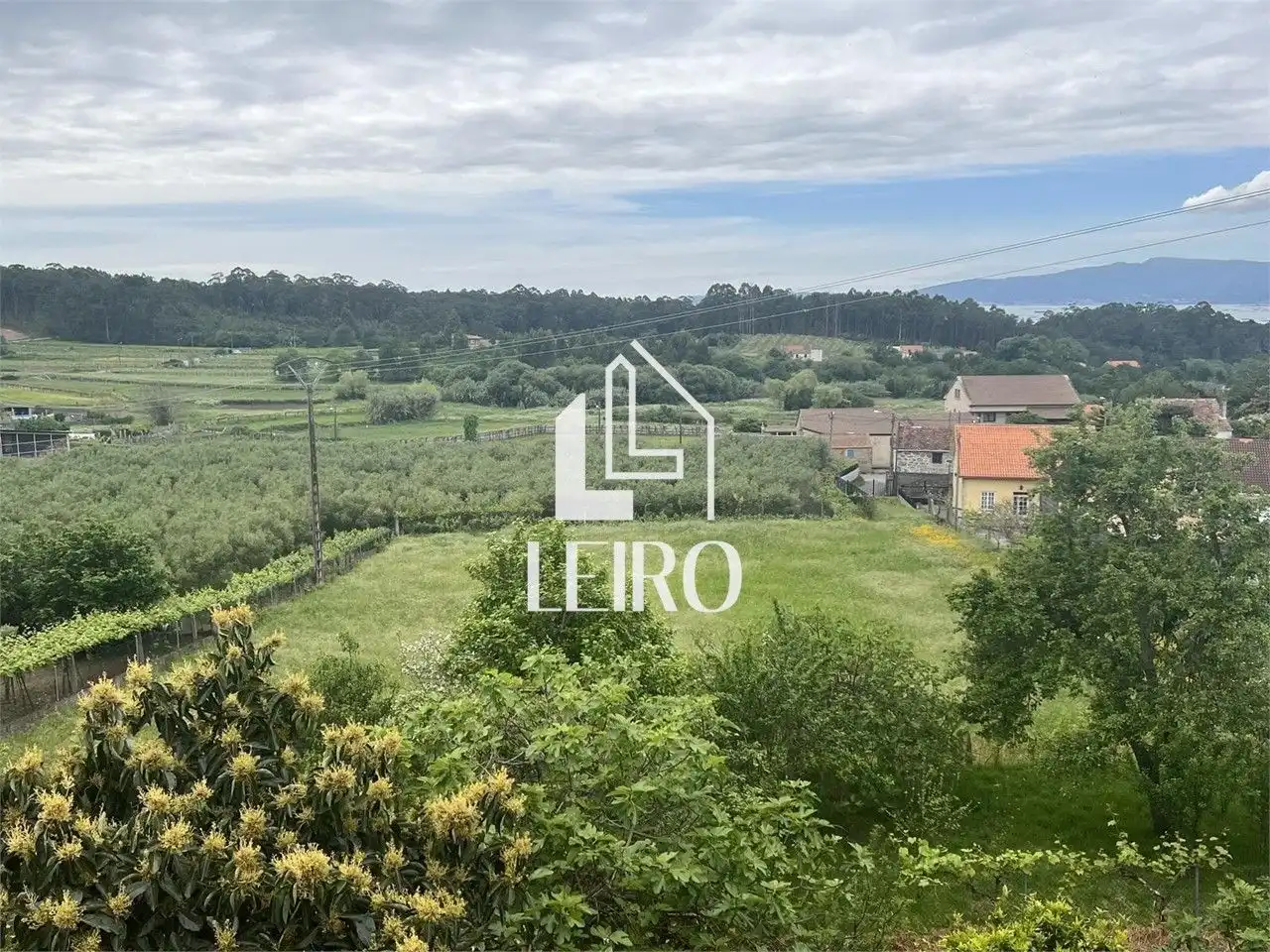 House with garden for sale in Vilagarcía, imagen 2