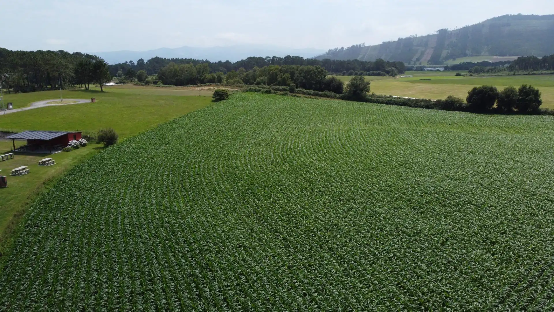 Residencial en venda en Navia