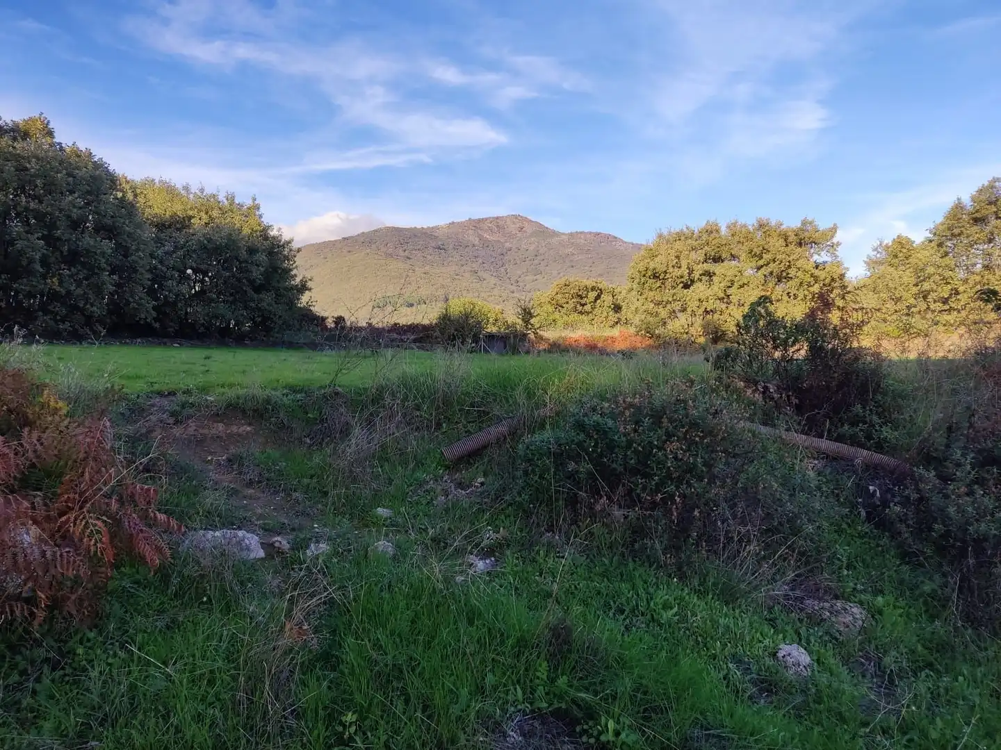 Terreni e lotti in vendita a Jarandilla de la Vera, imagen 40
