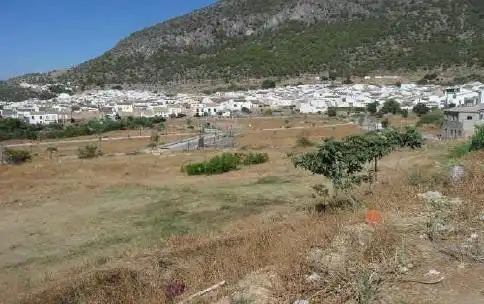 Terreny rústic en venda a Algodonales, imagen 3