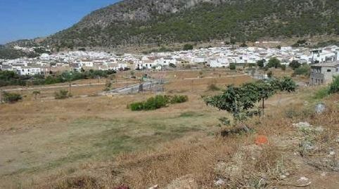 AMPLIO TERRENO URBANO NO CONSOLIDADO  ALGODONALES, immagine 3
