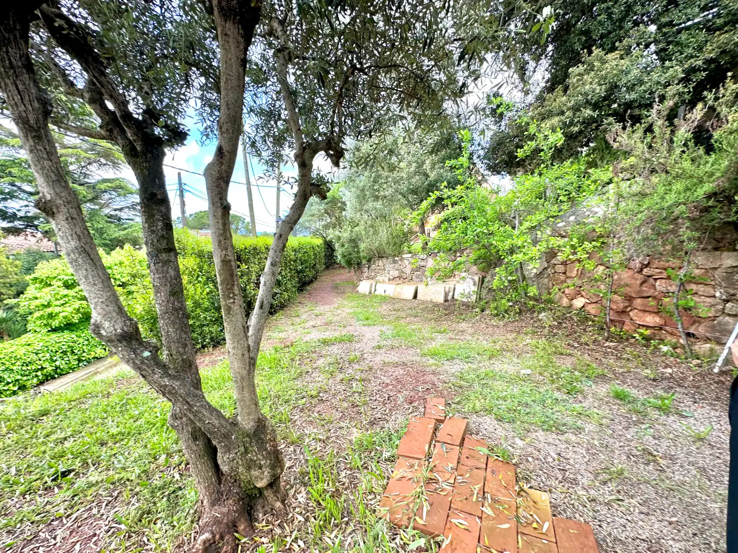 Jardí de Casa o xalet en venda en Castellar del Vallès amb Calefacció, Jardí privat i Piscina