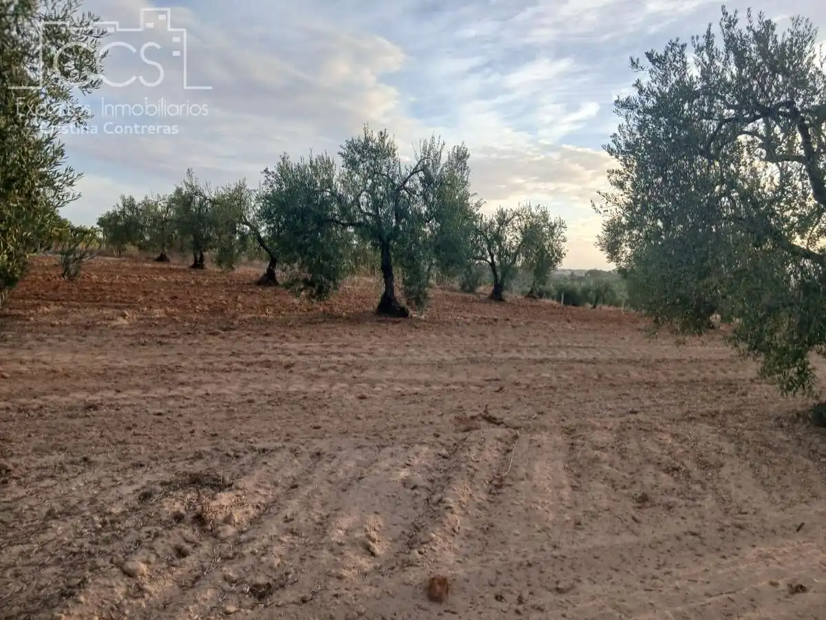 Terreni e lotti in vendita a Almonte ciudad, imagen 13