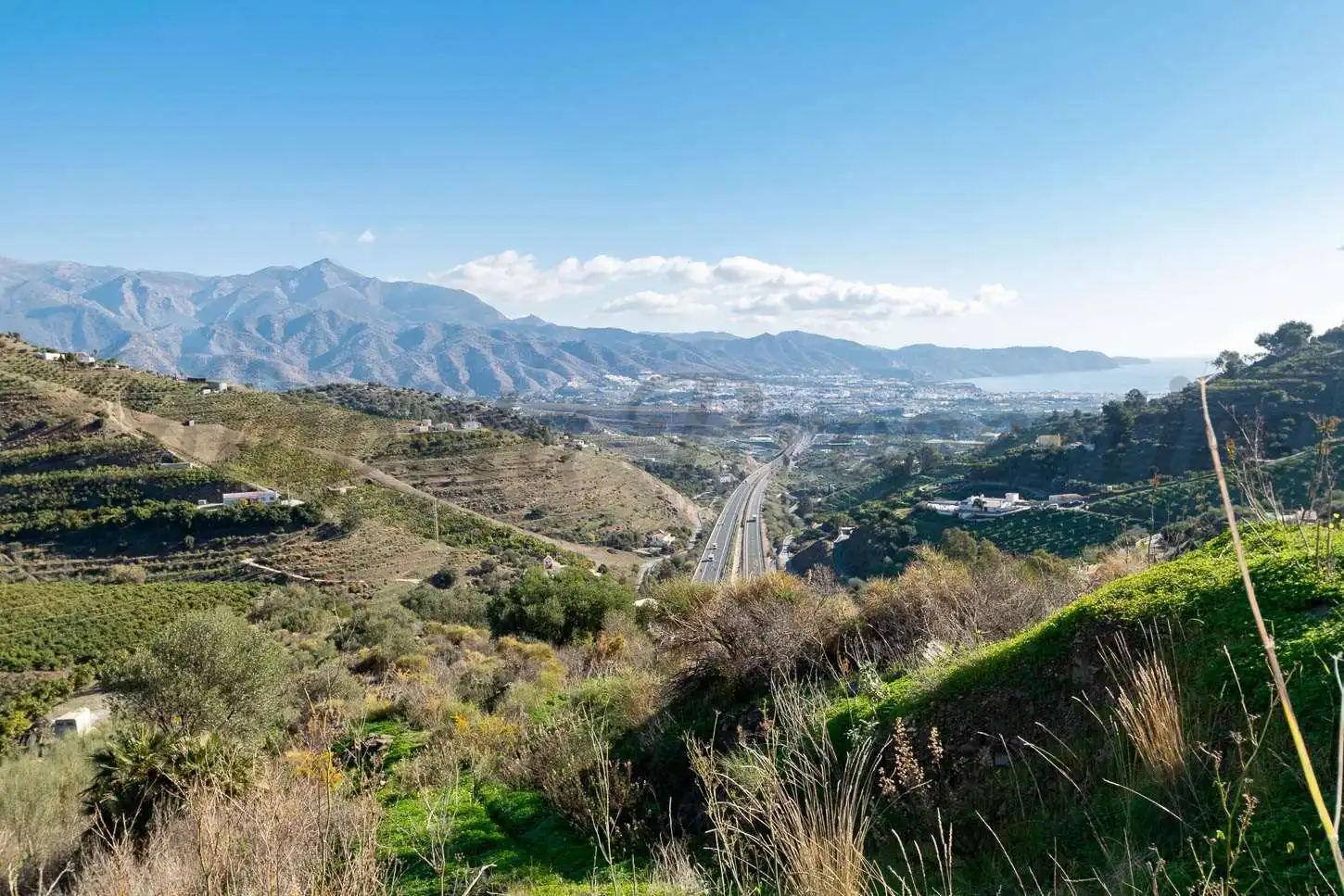 Terreno rústico en venta en Avda Pescia - Ctra de Frigiliana