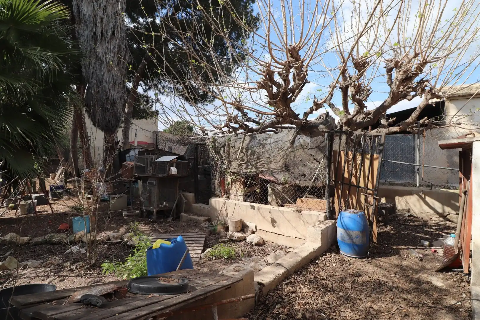 Xalet amb jardí en venda a Almoradí, imagen 39