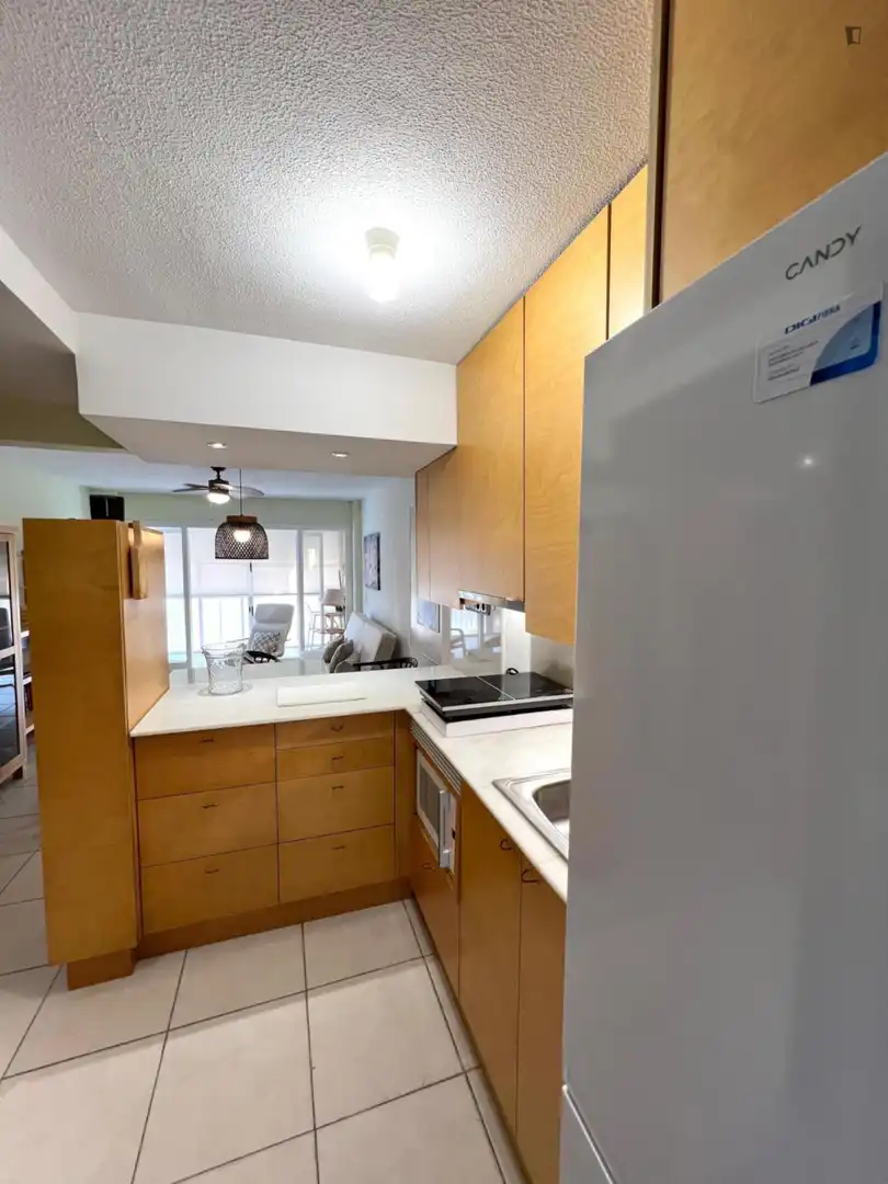 Kitchen of Apartments for rent in El Campello  with Air Conditioner, Furnished and Oven