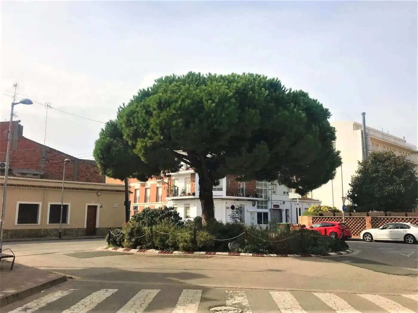Business premises for transfer in Centre, imagen 29