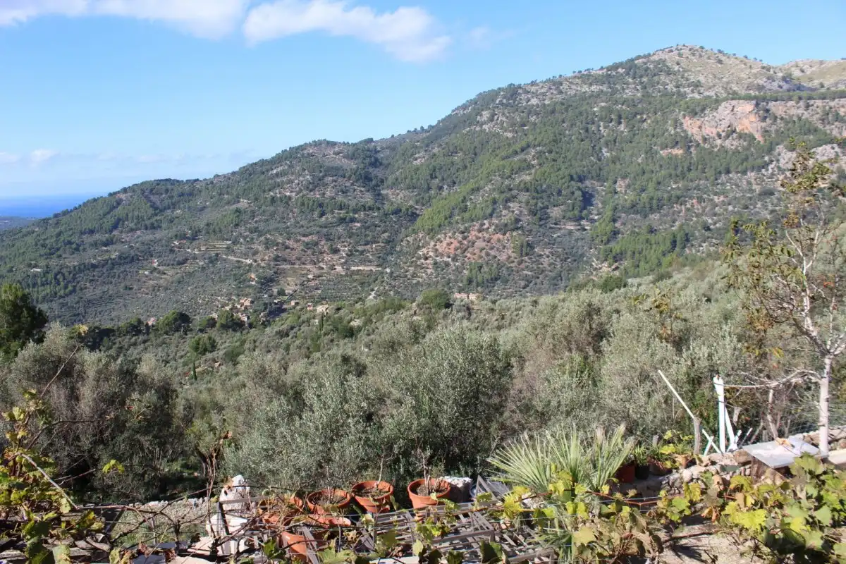 Finca rústica en venda en Fornalutx amb Jardí privat, Terrassa i Traster