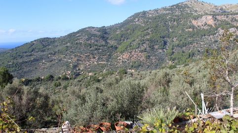 Foto 4 de Finca rústica en venta en Camino Fornalutx, Fornalutx, Illes Balears