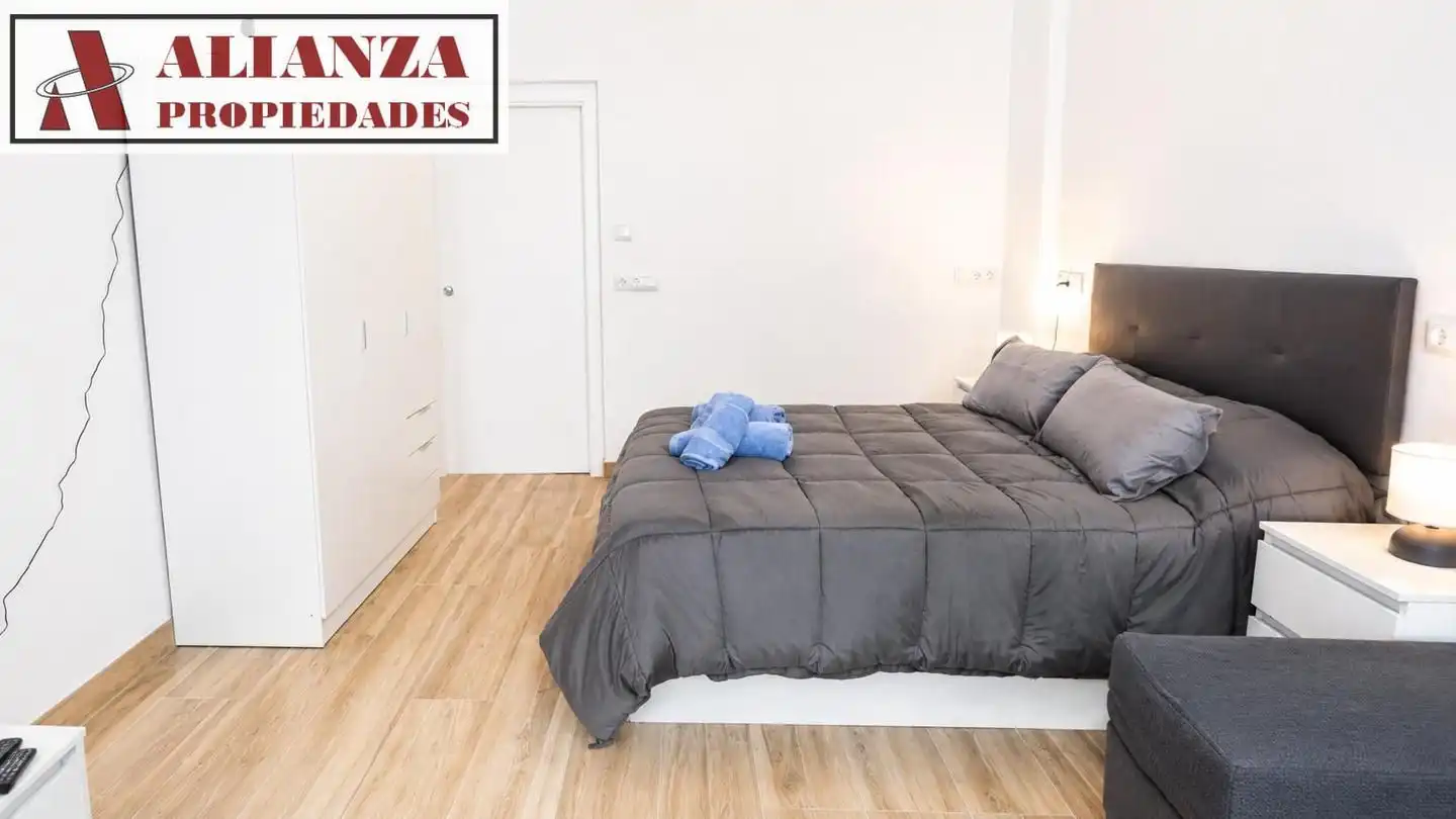 Studio zur Miete in Cruz de Humilladero, imagen 8