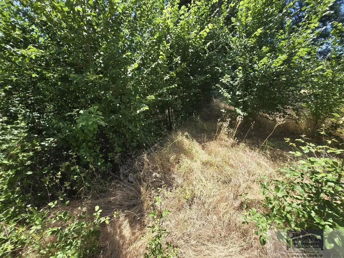 Finca rústica en venta en La Moraleja