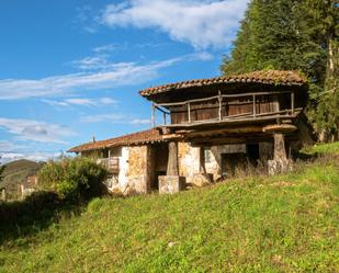 Vista exterior de Casa o xalet en venda en Grado amb Terrassa i Piscina