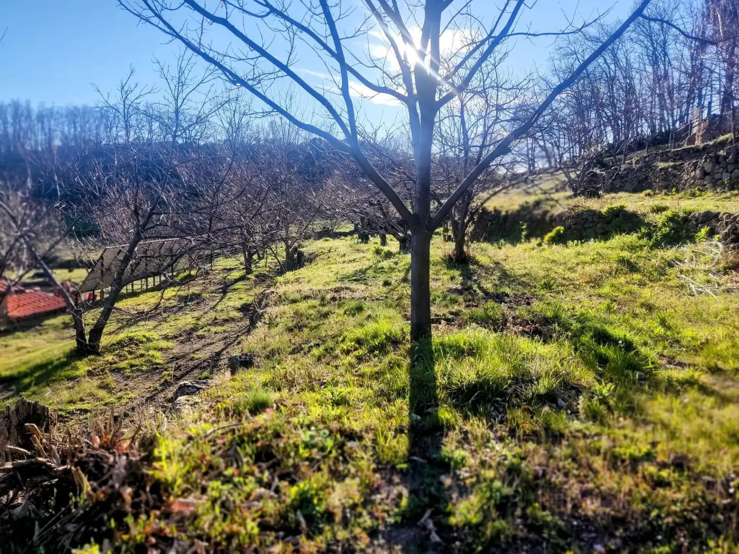 Country homes for sale in Guijo de Santa Bárbara