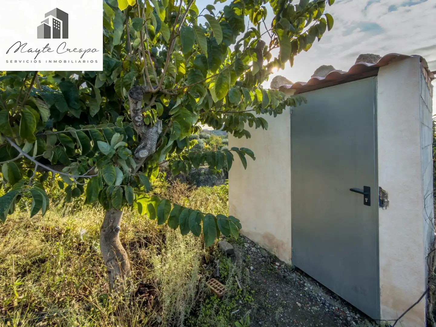 Casa rústica en venta en Calle Diseminados, Pol-8 Par-359, imagen 34