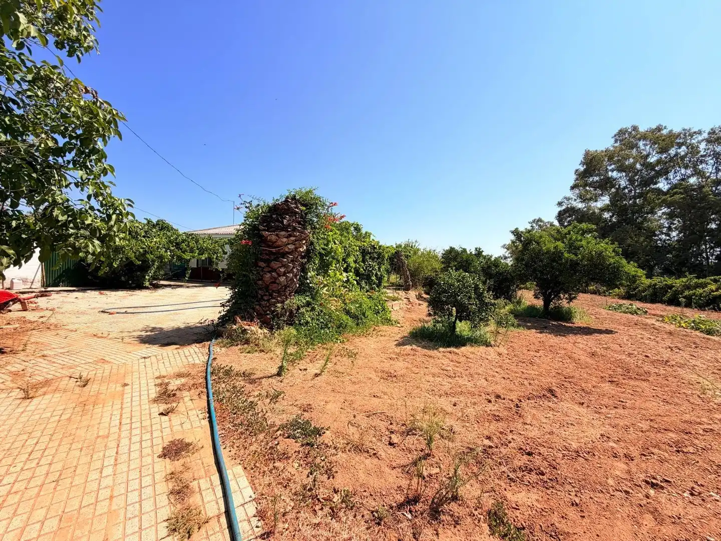 Casa o chalet en venta en Valverde de Mérida con Jardín privado, Terraza y Trastero
