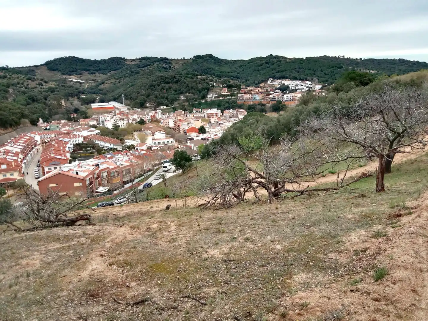 Land for sale in Arenys de Munt