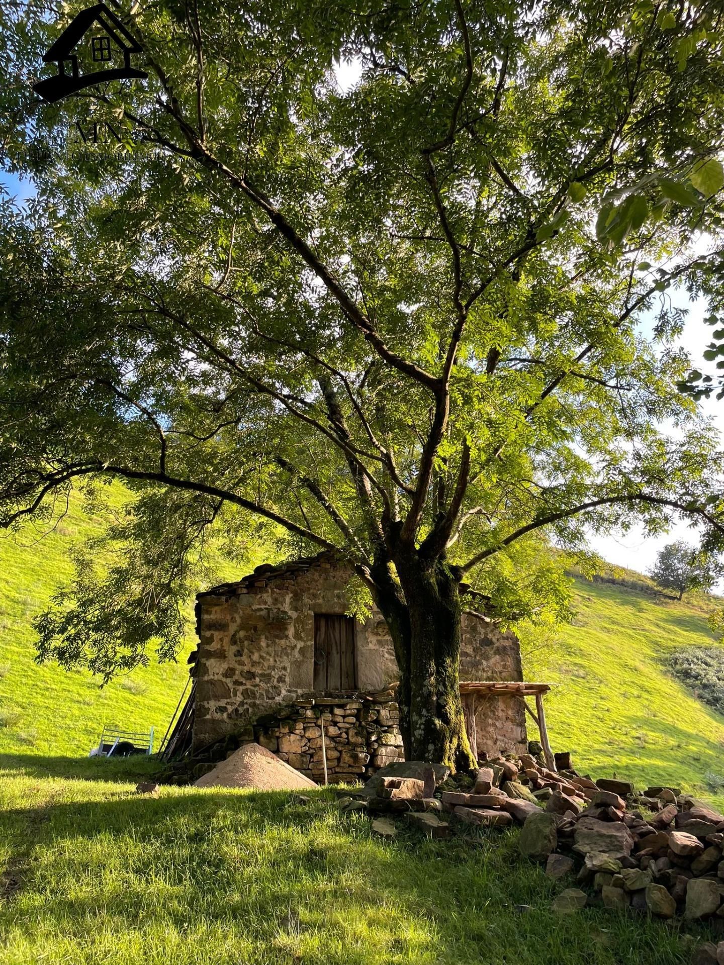 Exterior view of House or chalet for sale in Selaya