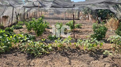 Photo 4 of Industrial land for sale in Valenzuela, Córdoba