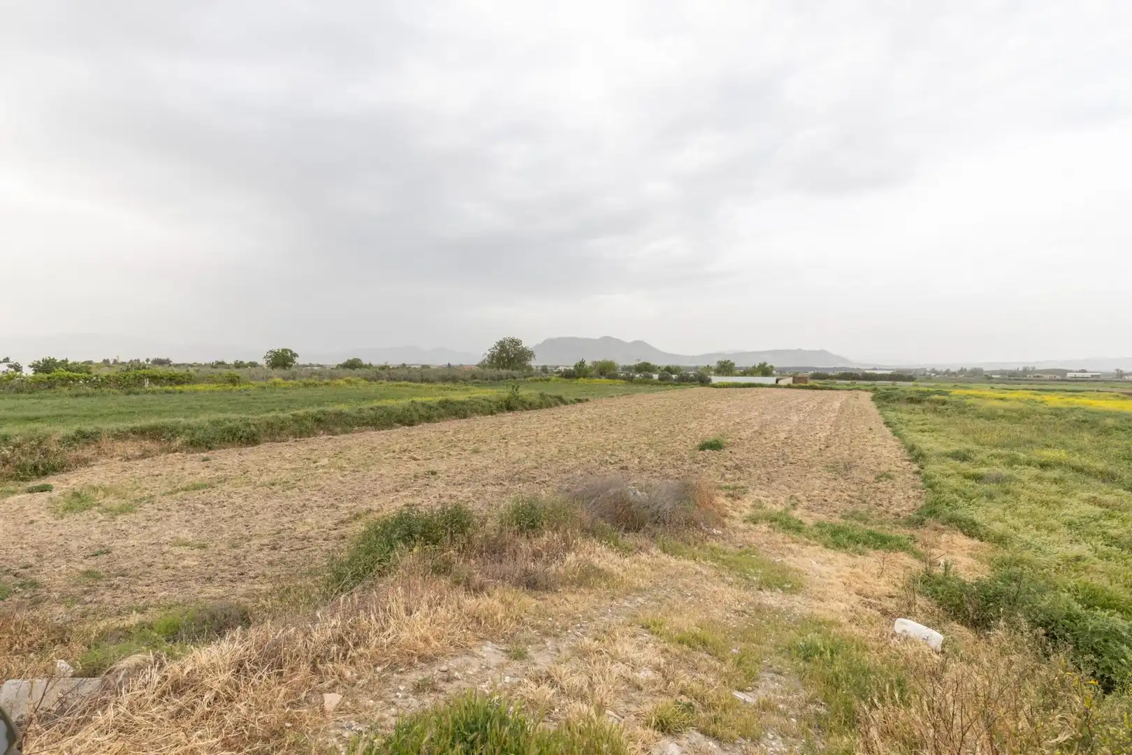 Terreny rústic en venda a Camino DISEMINADOS, imagen 8