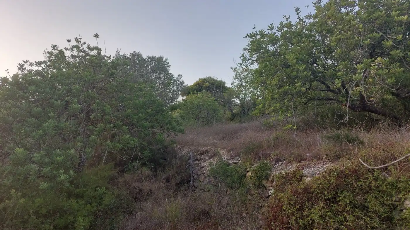 Terreno rustico in vendita a El Perelló, imagen 12