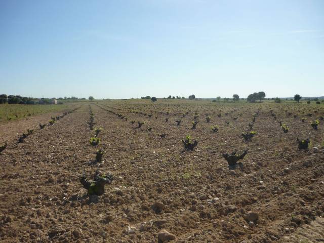 Terreno en Venta en Avenida del Hospital, 2 en Villa del Prado
